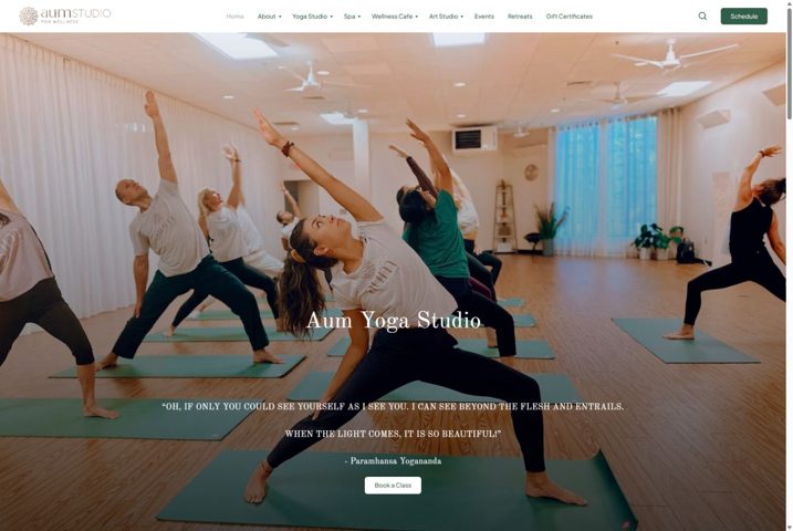 Website preview for AUM Studio
